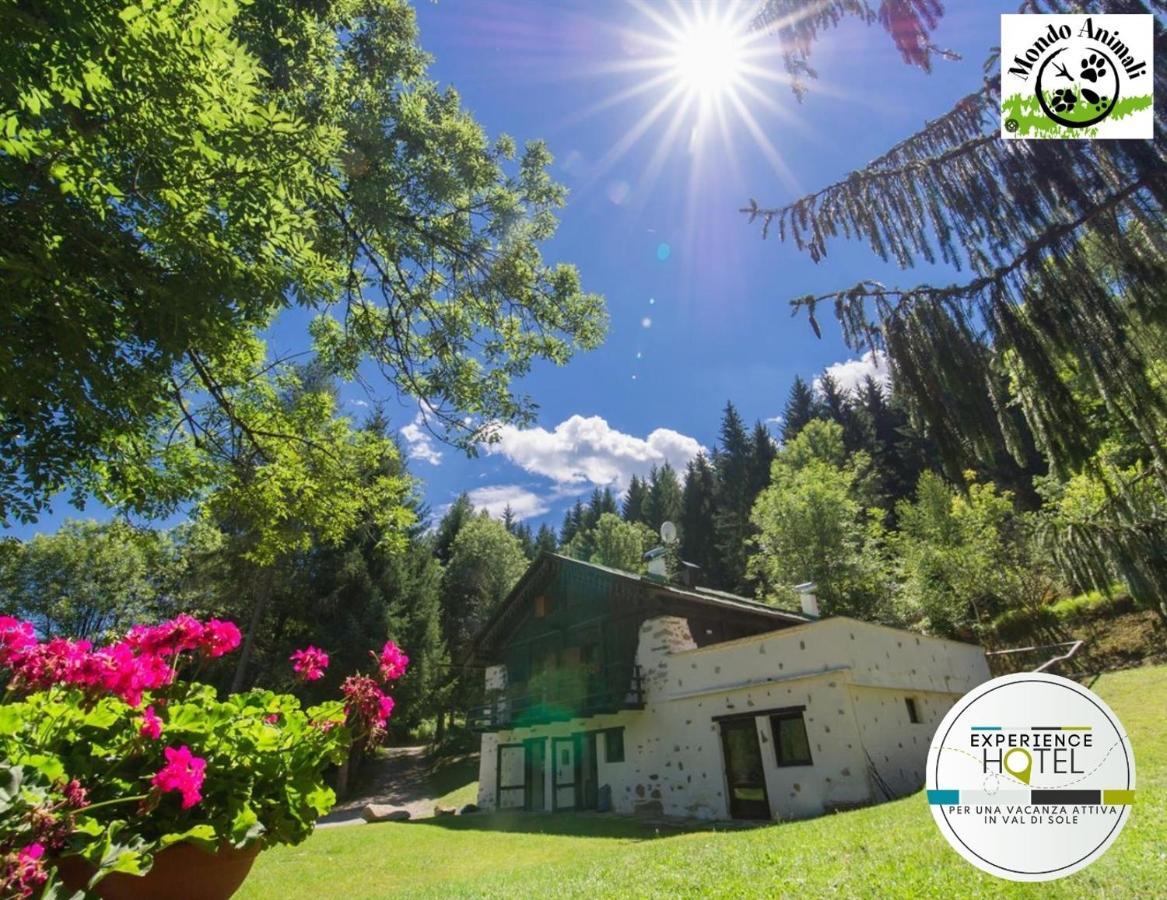 La Locanda Delle Pulci Bio Welness Mezzana (Trentino Alto Adige) Exterior foto